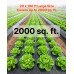 PE folija u roli za parnu branu i prekrivanje, 0,15 mm, 6,1 × 30,48 m (186 m²), crna
