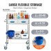 Laboratorijska kolica, 2 ladice, od nehrđajućeg čelika, prijenosno Laboratorijska kolica, 2 ladice, od nehrđajućeg čelika, prijenosno