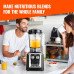 Blender za ugostiteljstvo (2) Blender za ugostiteljstvo (2)